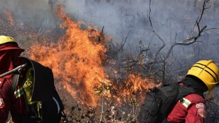 Defensa civil: Estamos combatiendo dos incendios forestales en el parques Noel kemffp Mercado y en el municipio de el Carmen Rivero torrez.